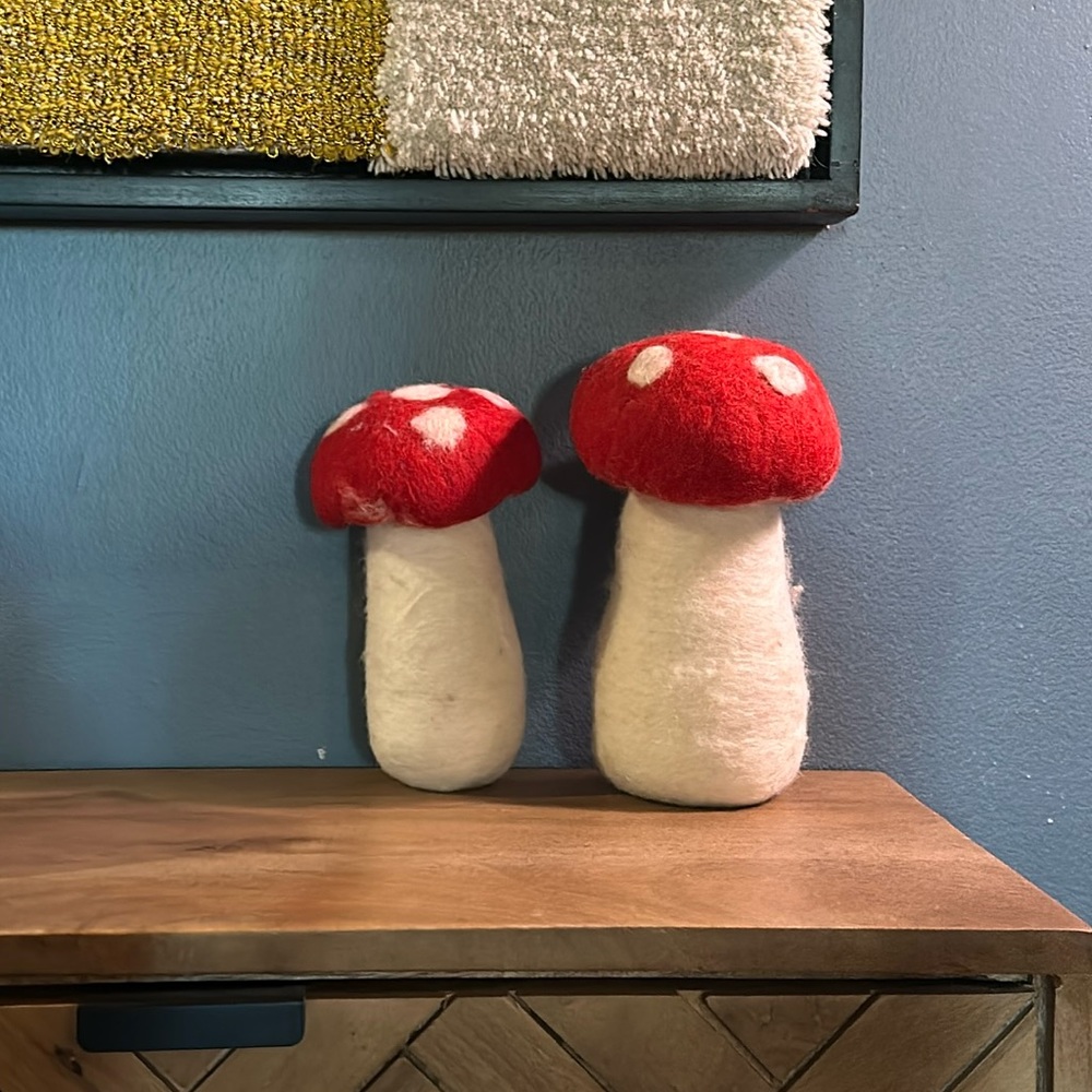 Large 🍄🍄Hand Felted Mushrooms
Set of 2